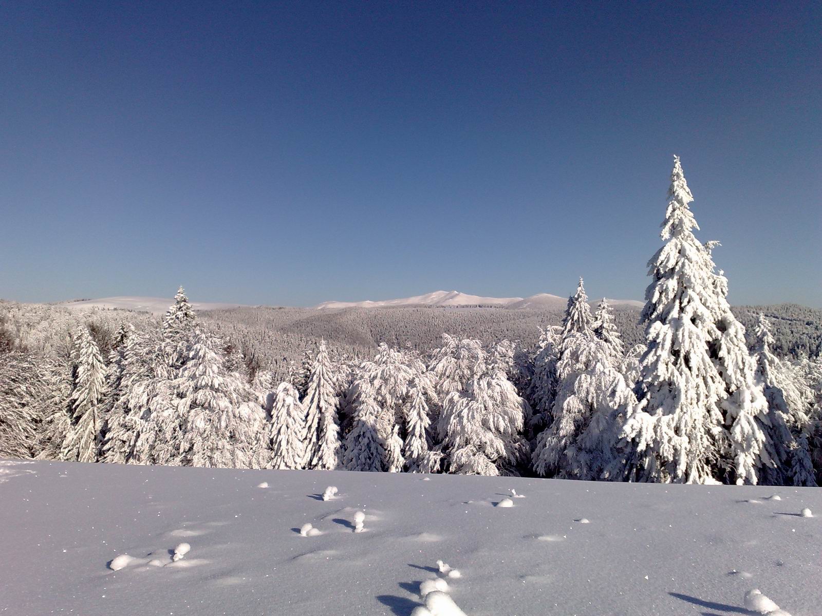 Bistrita-Nasaud